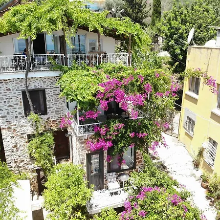 Lemon Villa Hotel (Adults Only) 3* Alanya