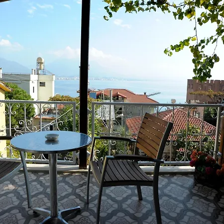 Lemon (adults Only) Αλάνια