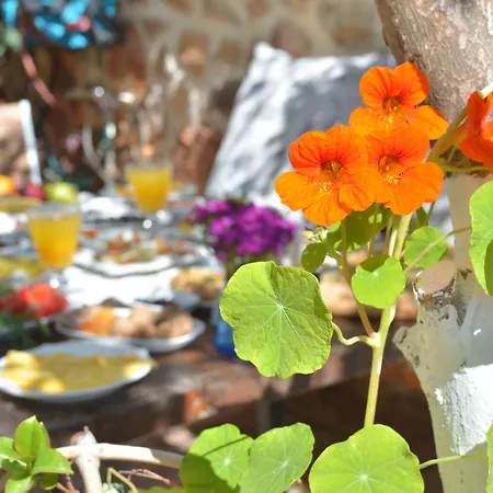 Lemon (adults Only) Alanya