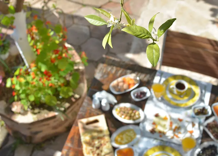 Lemon (adults Only) فندق