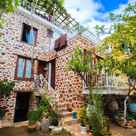 Lemon (adults Only) 2* Alanya