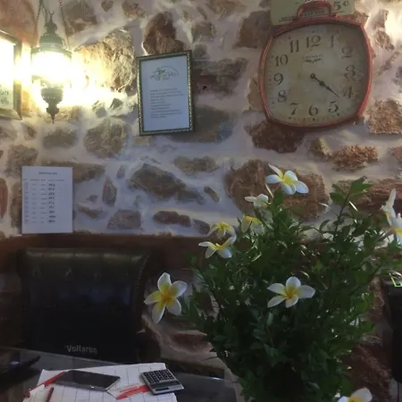 Lemon (adults Only) فندق ألانيا